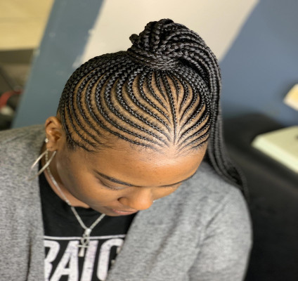 corn rows